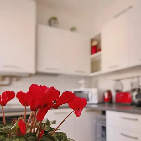 Apartment Italianway Borgo Vico 36